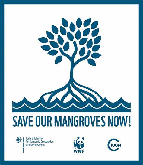 Save Our Mangrove Now