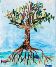 Muhammad Ibrahim / Cayman Islands / Age 6