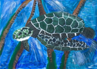 Sebastian-Briner_-Age-10-UK