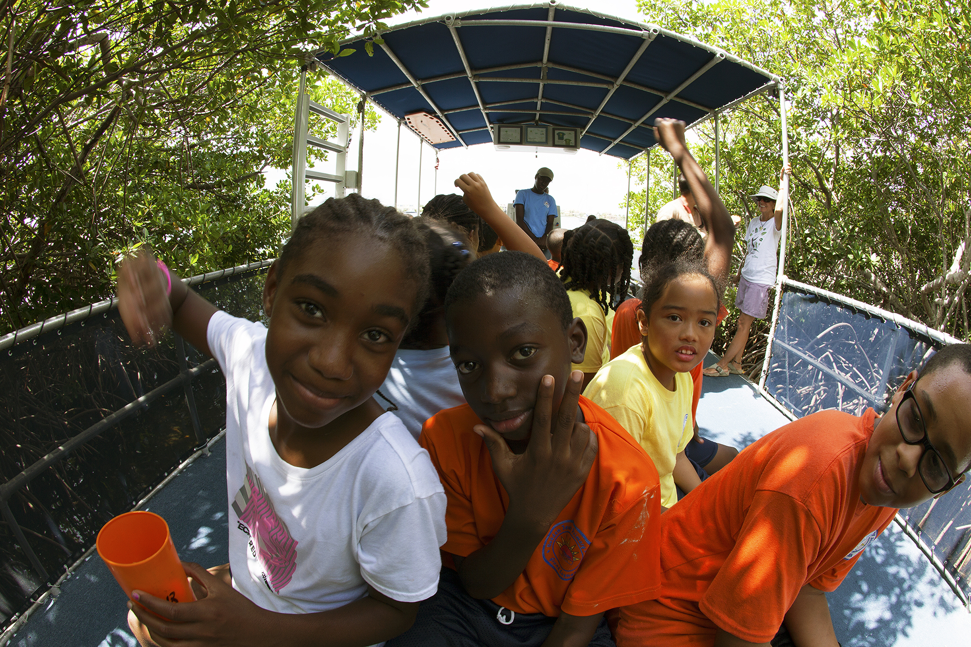 Mangroves-Young-People