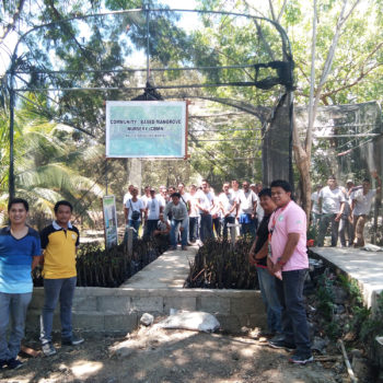 Established Community-Based Mangrove Nursery in SPAMAST // John Paul R. Pacyao // Philippines