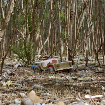 Large trash items caught into mangroves // Rob Barnes // Panama