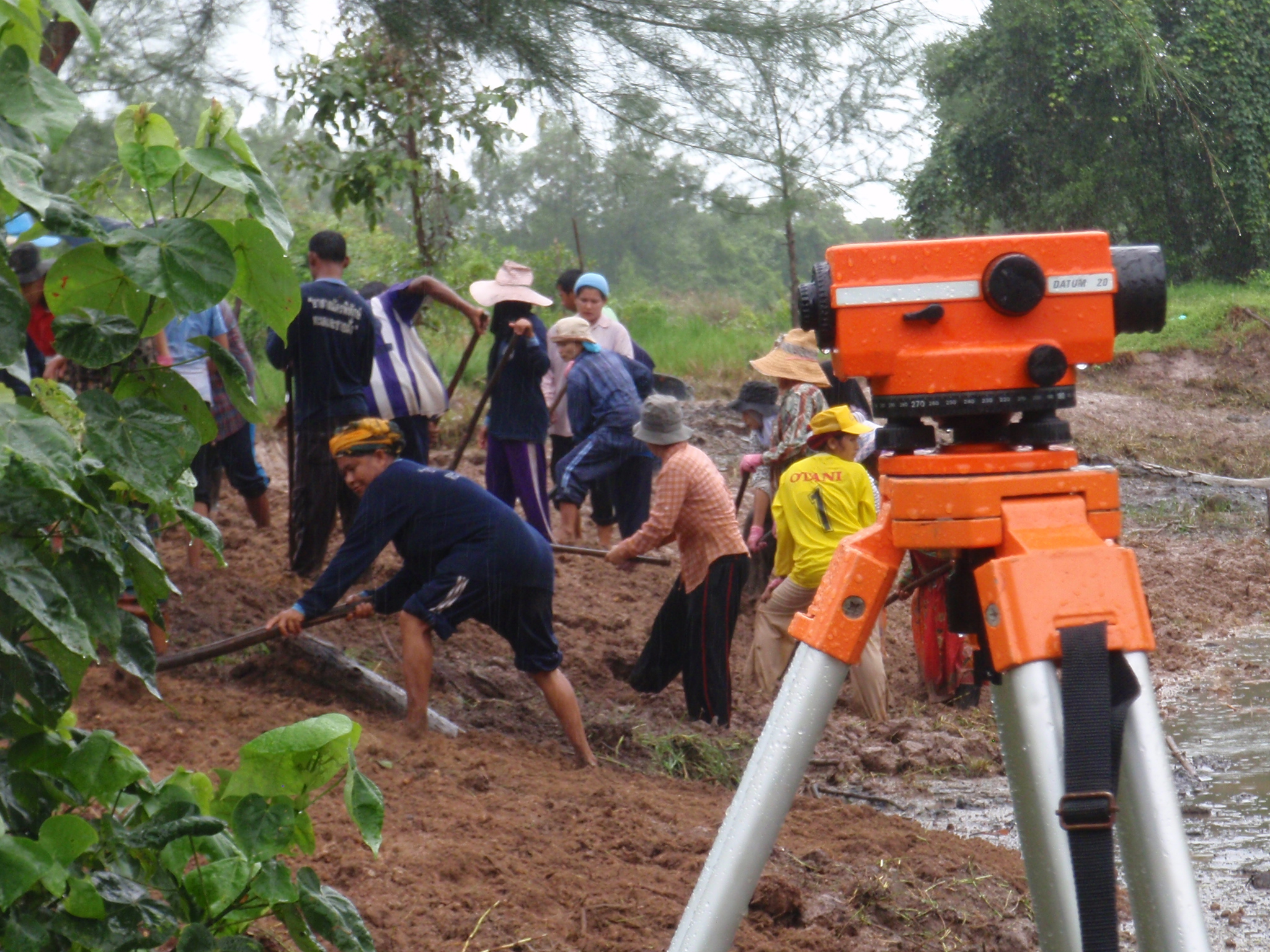 "CBEMR" Mangrove Restoration - Mangrove Action Project