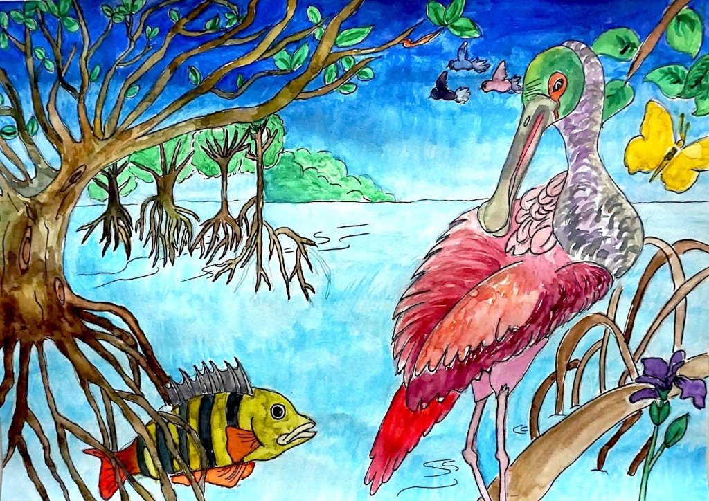 Open For Submissions: Children’s Mangrove Art Contest 2024! - Mangrove ...