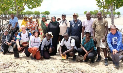 mangrove restoration kenya