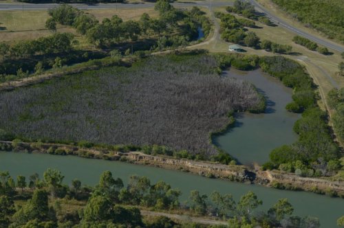 arial view of mangrove damage