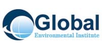 Global Environment Institute