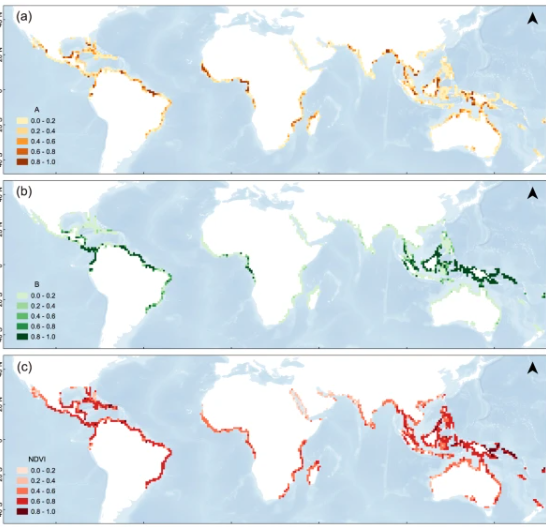 changes-in-mangrove-global-distribution