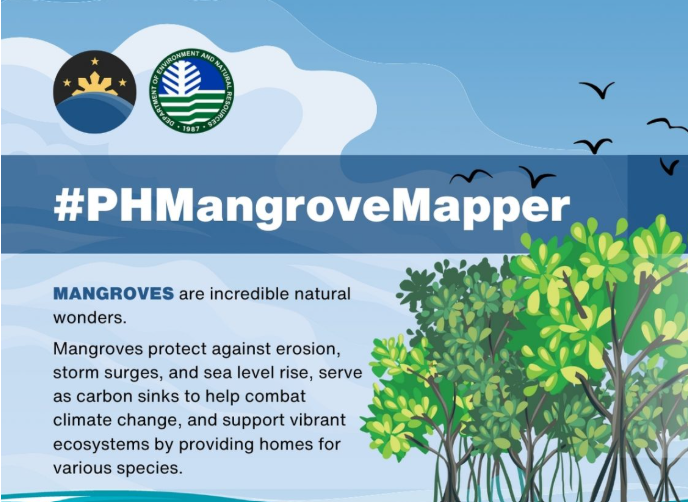 Philippines-mangrove-mapping