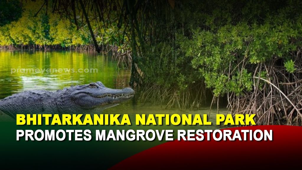 Bhitarkanika national park