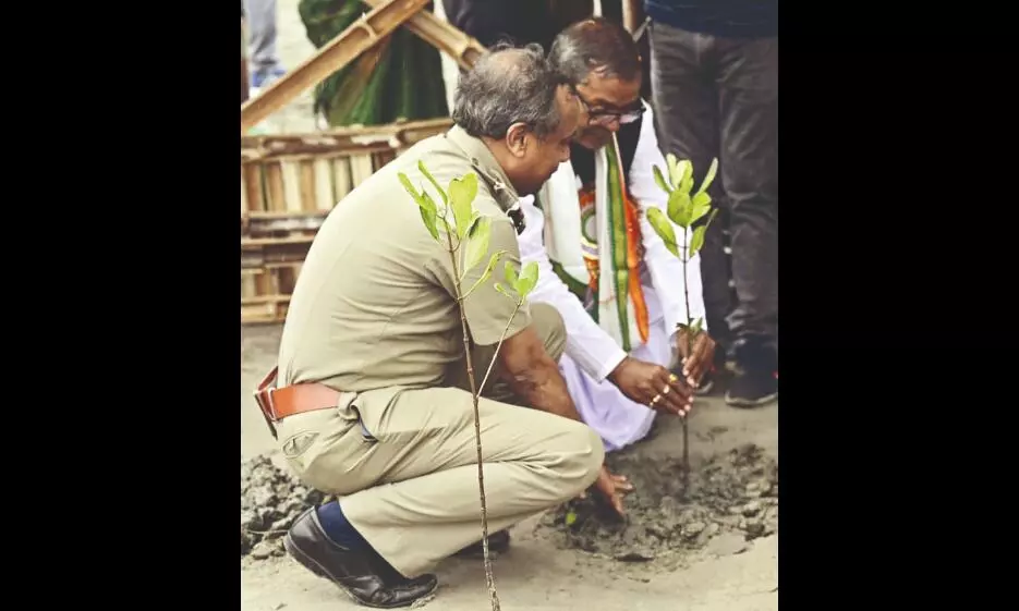 protecting coastal forests as form of shield