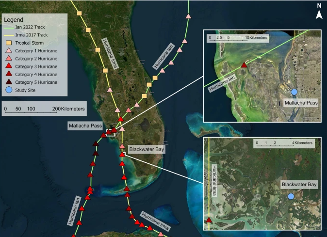 preservation potential of successive hurricane overwash deposits