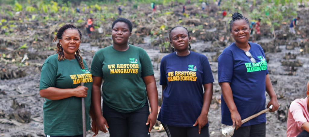 Ogoni women restore oil-damaged mangroves