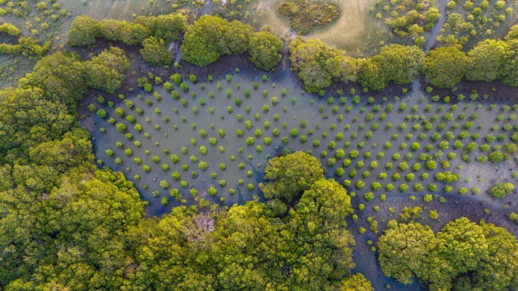 World Wetlands Day Feb 2