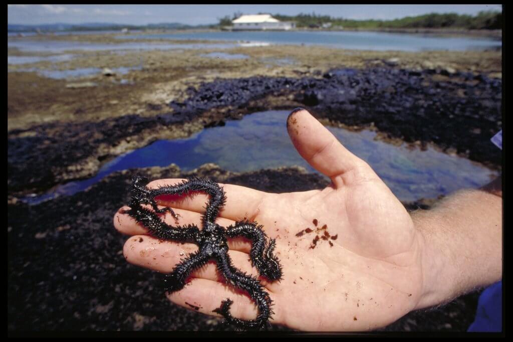 oil spill in Bahía Las Minas