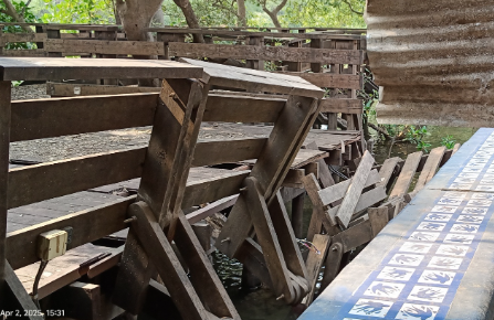 Panaji’s mangrove boardwalk now in ruins