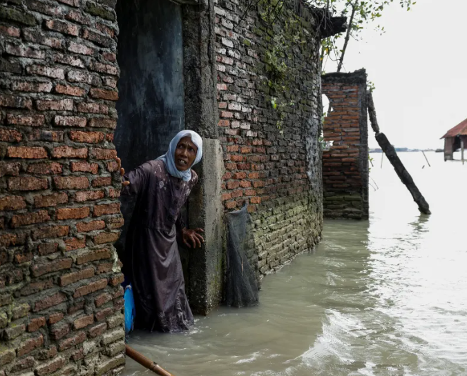 Family fights sea level rise with mangrove planting