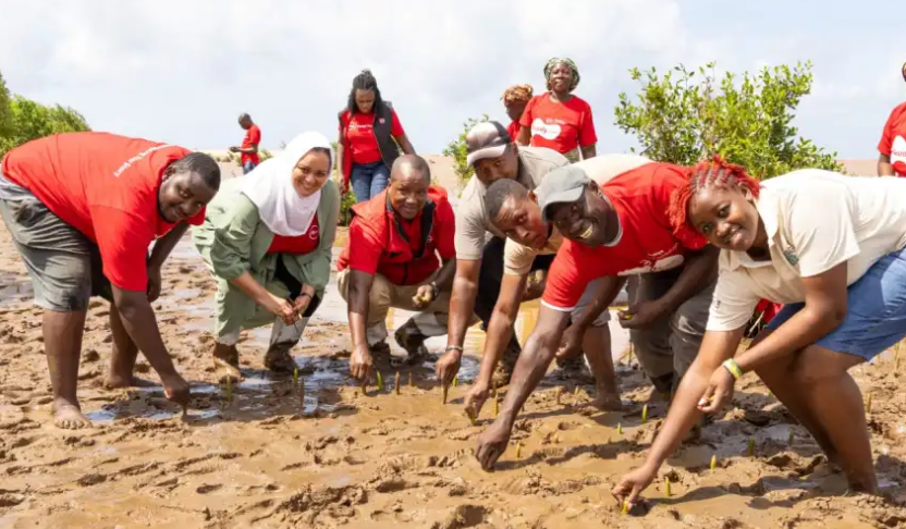 Absa Kenya Foundation scales up mangrove restoration to 350,000 trees across Kenya’s coastline