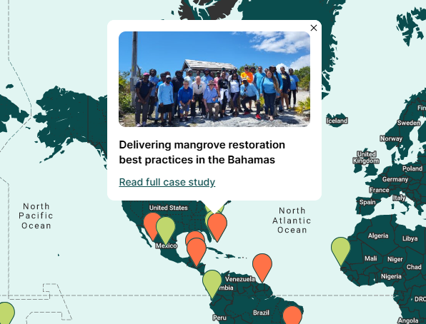 Delivering mangrove restoration best practices in the Bahamas