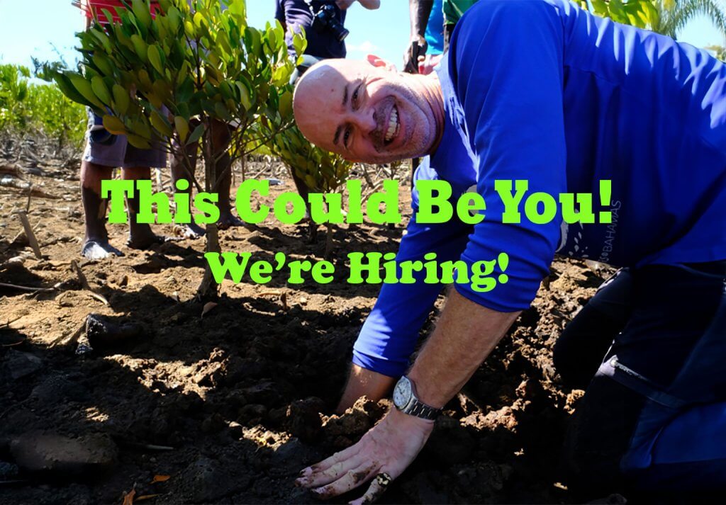 MAP now hiring