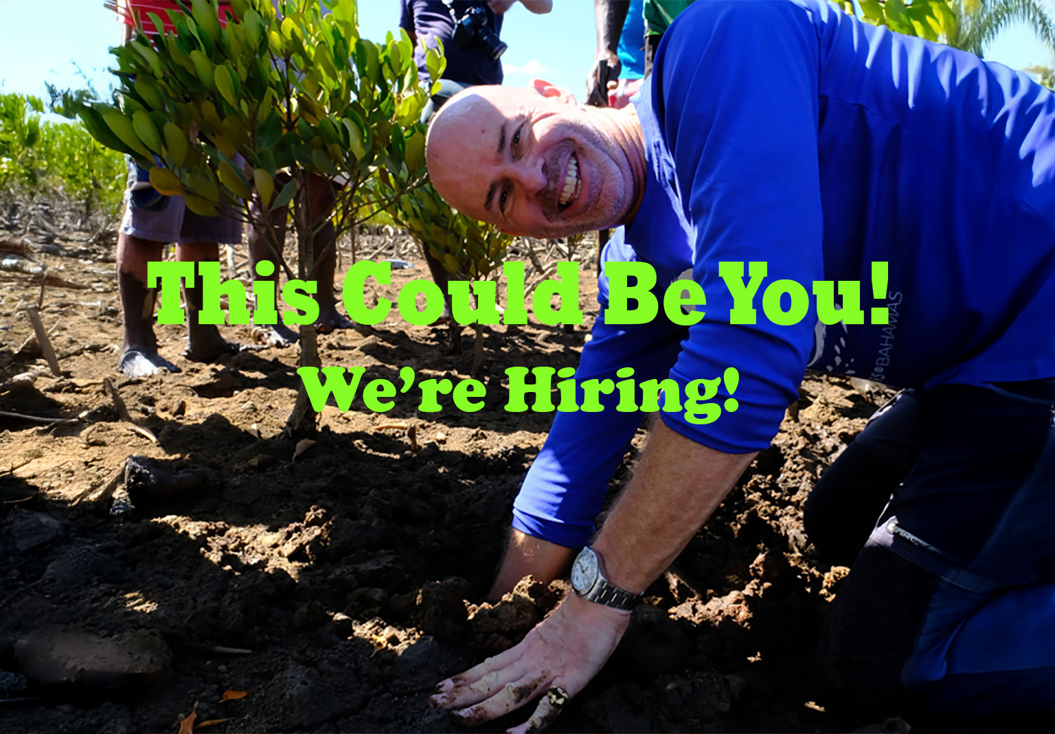 MAP now hiring