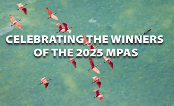 MPA winners announced