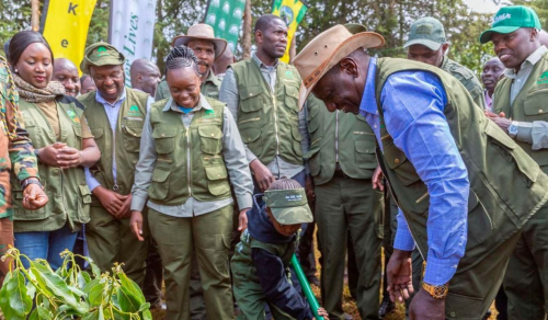 Image source https://nation.africa/kenya/blogs-opinion/blogs/mazingira-day-is-here-stop-planting-trees-for-the-camera-5223086
