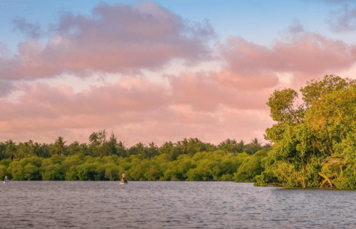 Image source - https://africarenewal.un.org/en/magazine/bringing-new-life-africas-wetlands-and-people-who-depend-them Pixabay/GildAix