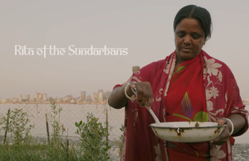 Rita of the Sunderbans