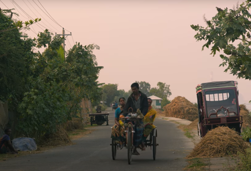 Mangrove Restoration and Livelihoods in the Sundarbans