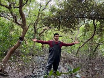 Image source - https://news.cgtn.com/news/2026-03-08/Mangrove-survives-in-a-Chinese-city-of-17-million-1LlDdB7VXY4/p.html