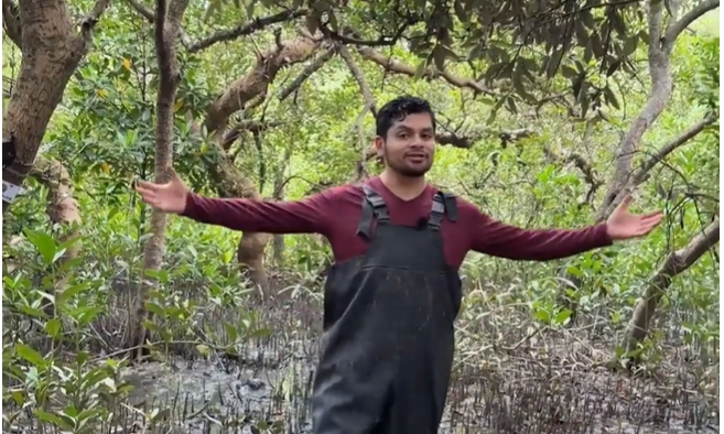 Image source - https://news.cgtn.com/news/2026-03-08/Mangrove-survives-in-a-Chinese-city-of-17-million-1LlDdB7VXY4/p.html