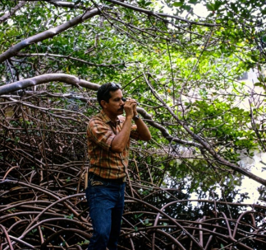 Gilberto Cintrón Molero