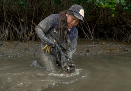 Image source - https://www.theguardian.com/global-development/2026/jun/19/world-appetite-shrimp-destroying-ecuador-mangroves