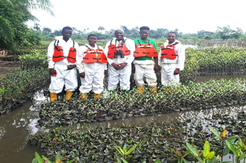 HYPREP Nigeria Mangrove Nursery