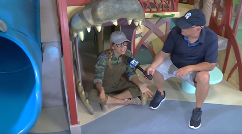 Image source - https://www.wptv.com/shining-a-light/new-mangrove-manor-exhibit-opens-at-schoolhouse-childrens-museum-in-boynton-beach