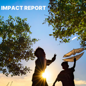 MAP 2025 Impact Report