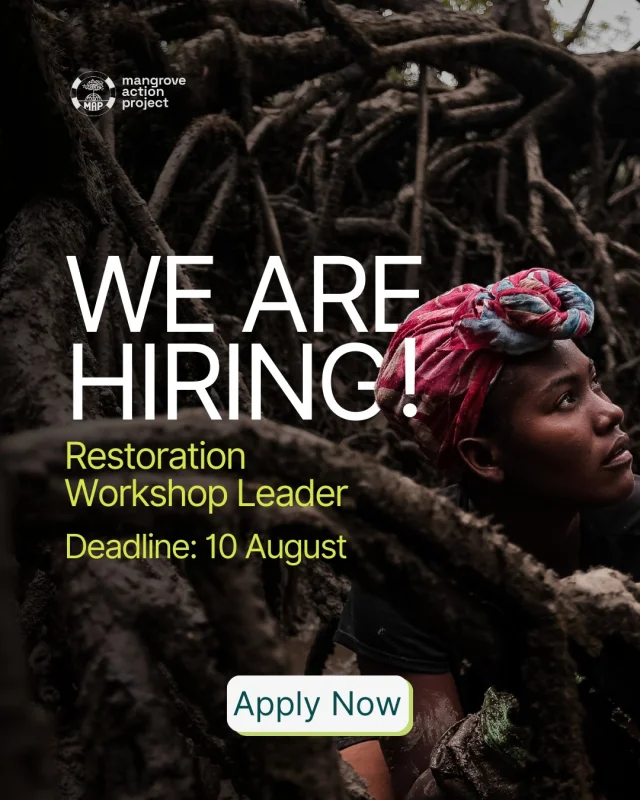 📣 We're hiring!MAP is seeking a Restoration Workshop Leader to support and eventually lead our CBEMR training workshops.🌳 If you're passionate about environmental restoration and education and want to have a global impact in sustainable mangrove conservation, here's your chance.Deadline: 10 AugustApply now via the link in bio.Image credit: Daniel Alvarez | Mangrove Photography Awards 2024#MangroveConservation #EnvironmentalRestoration #JobOpening