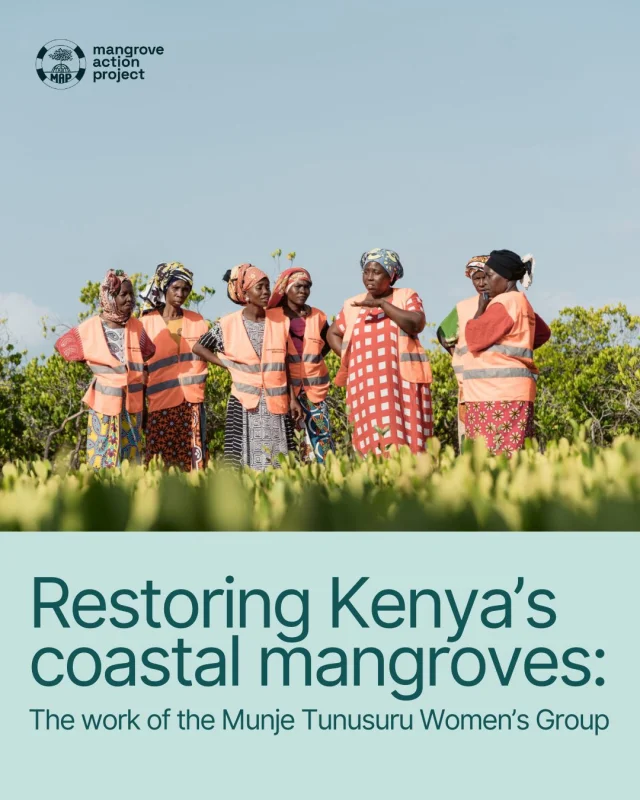 👭🏽 Women are the lifeblood of a community.It's why they must play a central role in conservation efforts.It's also why we continue advocating for community-led restoration and conservation. 🇰🇪 This group of women in Kenya were not scientists nor policymakers. They were mothers, daughters, fishers, and farmers — and that's what made their conservation efforts so successful.Their traditional knowledge offers a unique perspective of mangrove ecosystem services while their needs and experiences guide steps to protect their families and local forests.Read more via the link in bio 🔗Image Credit: CORDIOEA#CoastalCommunities #Mangroves #Conservation